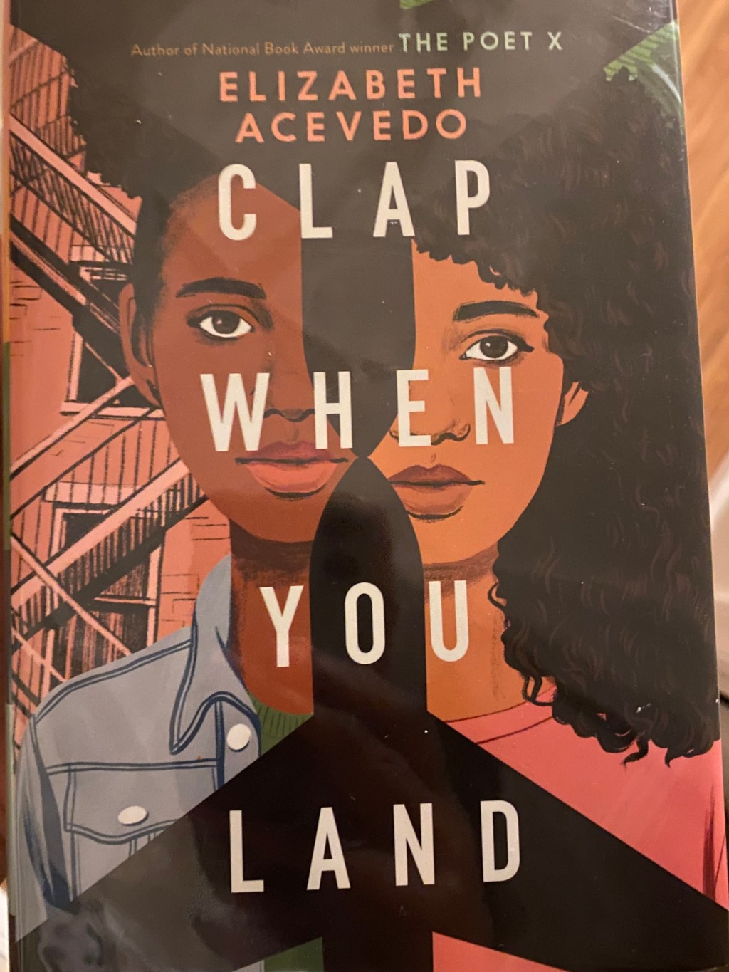 Clap When You Land- Book&nbsp;Review
